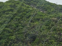 -赤山风景区
