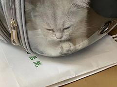 -半岛宠物医院24小时(科华中路店)