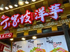 -周小亮丁家坡洋芋(全国总店)