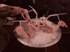 -斯普汇生蚝牛排馆(中骏世界城店)