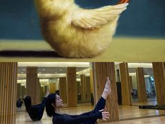 -天行健身＆天行拳馆跆拳道·格斗TXGYM