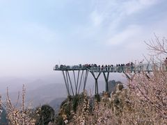 -狼牙山风景区