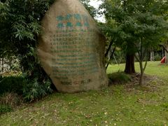 -吴淞炮台湾湿地森林公园烧烤区