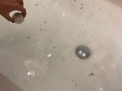 -广州四季酒店