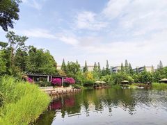 -成飞公园
