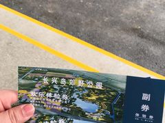 -上海长兴岛郊野公园