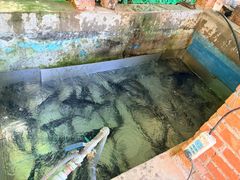 -姥家大锅台水库渔家