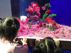 -蓬莱欧乐堡海洋极地世界