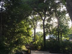 -西安市长乐公园