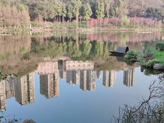-重庆彩云湖湿地公园