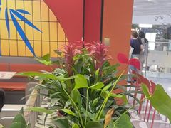 -全牛匠·乐山跷脚牛肉(西北旺万象汇店)