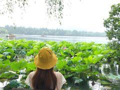 -西湖外事游船(花港观鱼码头)