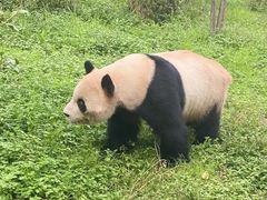 -云南野生动物园