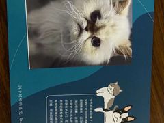 -美联众合动物医院·24h转诊中心