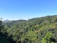 -深圳仙湖植物园