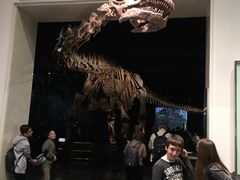 -美国自然历史博物馆