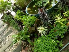 -清迈女子监狱马杀鸡(无分店)