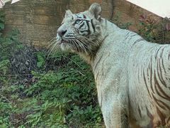 -杭州野生动物世界