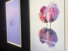 -罗红摄影艺术馆