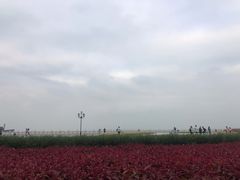 -情侣路