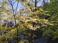 -北京凤凰岭