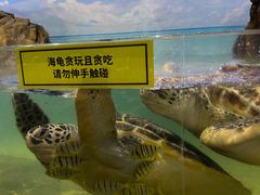 -江和美海洋公园