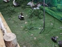 -哈乌尔河