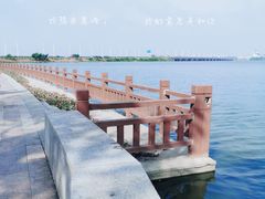 -瑶湖郊野森林公园