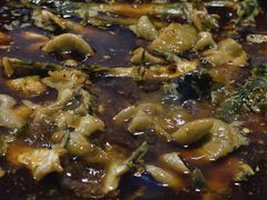 -金海椒罐罐鲢鱼(东方桂苑店)