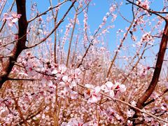 -北京雁栖湖国际会展中心