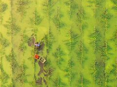 -长沙星沙万象汇