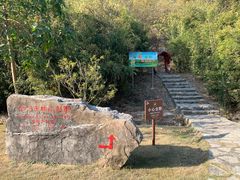 -金钉子远古世界景区