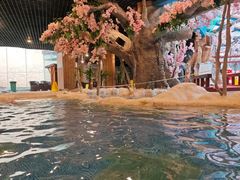 -中铁花水湾四季温泉谷