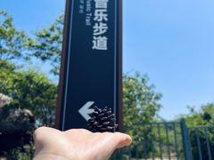 -浮槎山