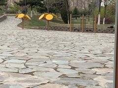 -长白岛森林公园