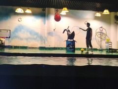 -嘉兴海底世界