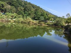 -桃园美食(水库路店)