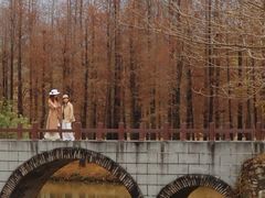 -佛冈森波拉度假区