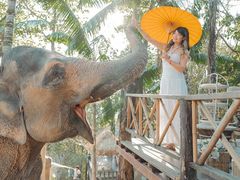 -清迈丛林飞跃 JungleFlight