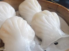 -高第街56号港式餐厅(山大路店)