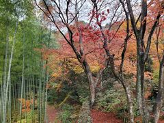 -常寂光寺