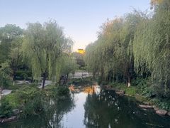 -日出青木·杭帮菜名店