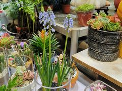 -双季花艺园艺市场(浦东店)