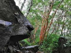 -驼梁风景区