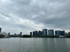 -金沙湖公园