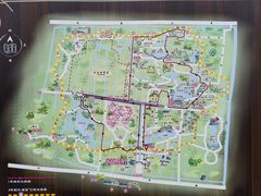-东平国家森林公园