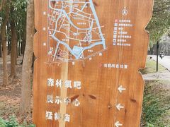 -广富林郊野公园