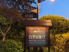 -青岛海景花园大酒店·白果树餐厅青岛菜