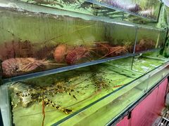 -大茄来海鲜餐厅(亚洲城分行)
