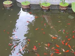 -白帝城·瞿塘峡景区